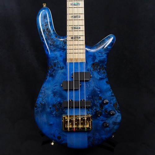 Spector euro cst japan - euro,