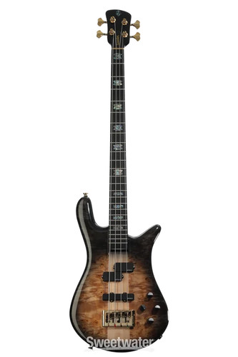 Spector euro cst - spector, electric