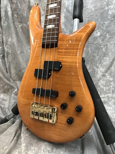 Spector euro4 amber stain - spector, dw