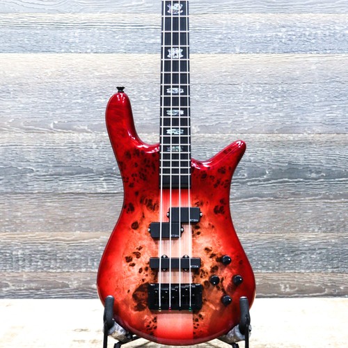 Spector euro cst natural - spector,