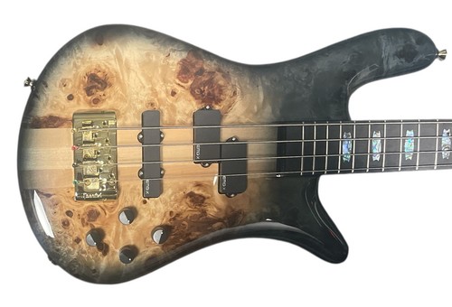 Spector euro cst - euro, black